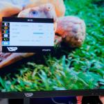 Màn Hình VSP IP2407SG /IPS/ 24 Inch/ FHD/ 1ms/ 100Hz