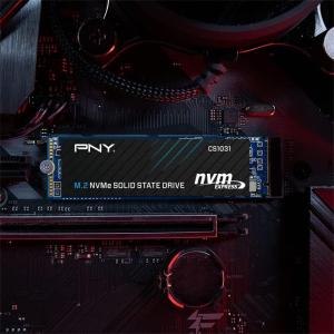 Ổ cứng SSD PNY CS1031 256GB NVMe M.2 2280 PCIe Gen 3.0 x4 (M280CS1031-256-CL)